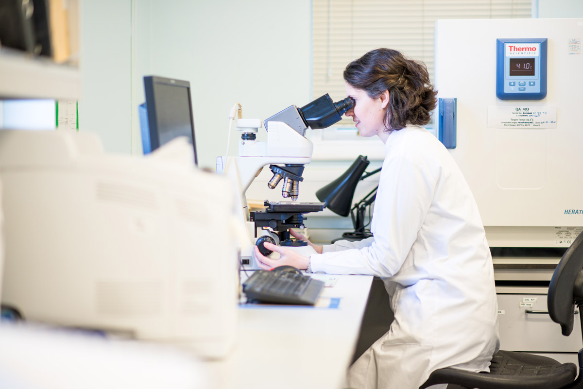 Scientist using a large microscope